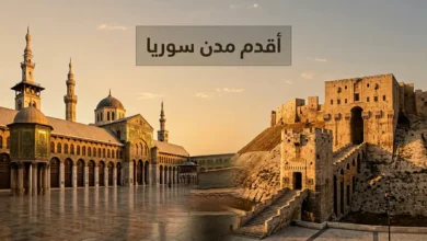 صورة غلاف تجمع الجامع الأموي في دمشق وقلعة حلب مع طبقات أثرية رمزية تمثل أقدم مدن سوريا عبر التاريخ