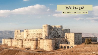 قلاع سوريا