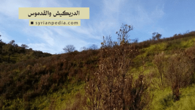 الدريكيش والقدموس