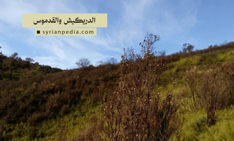 الدريكيش والقدموس