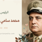 محمد سامي الحناوي