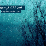 فصل الشتاء في سوريا