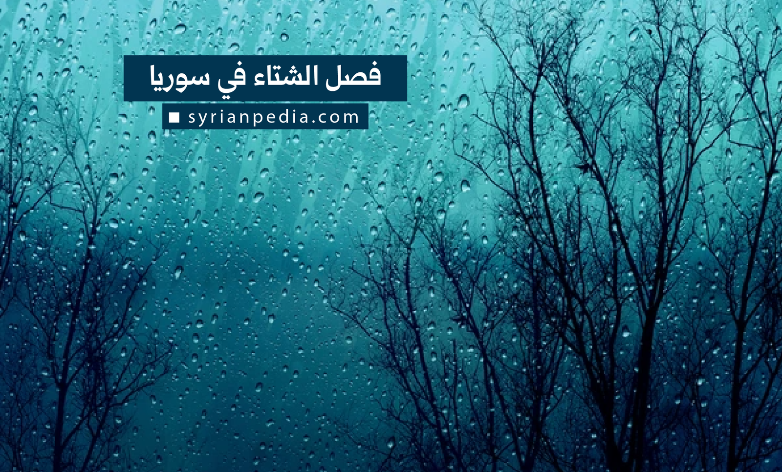 فصل الشتاء في سوريا