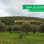 القطاع الزراعي في سوريا