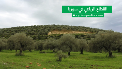 القطاع الزراعي في سوريا