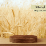 القمح في سوريا