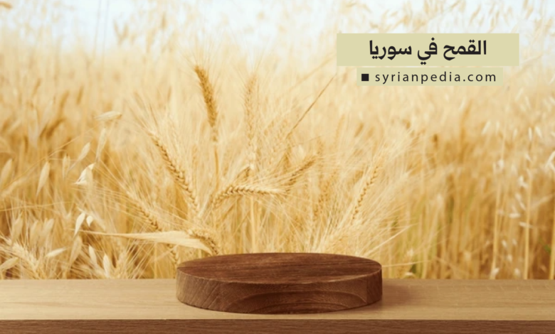 القمح في سوريا