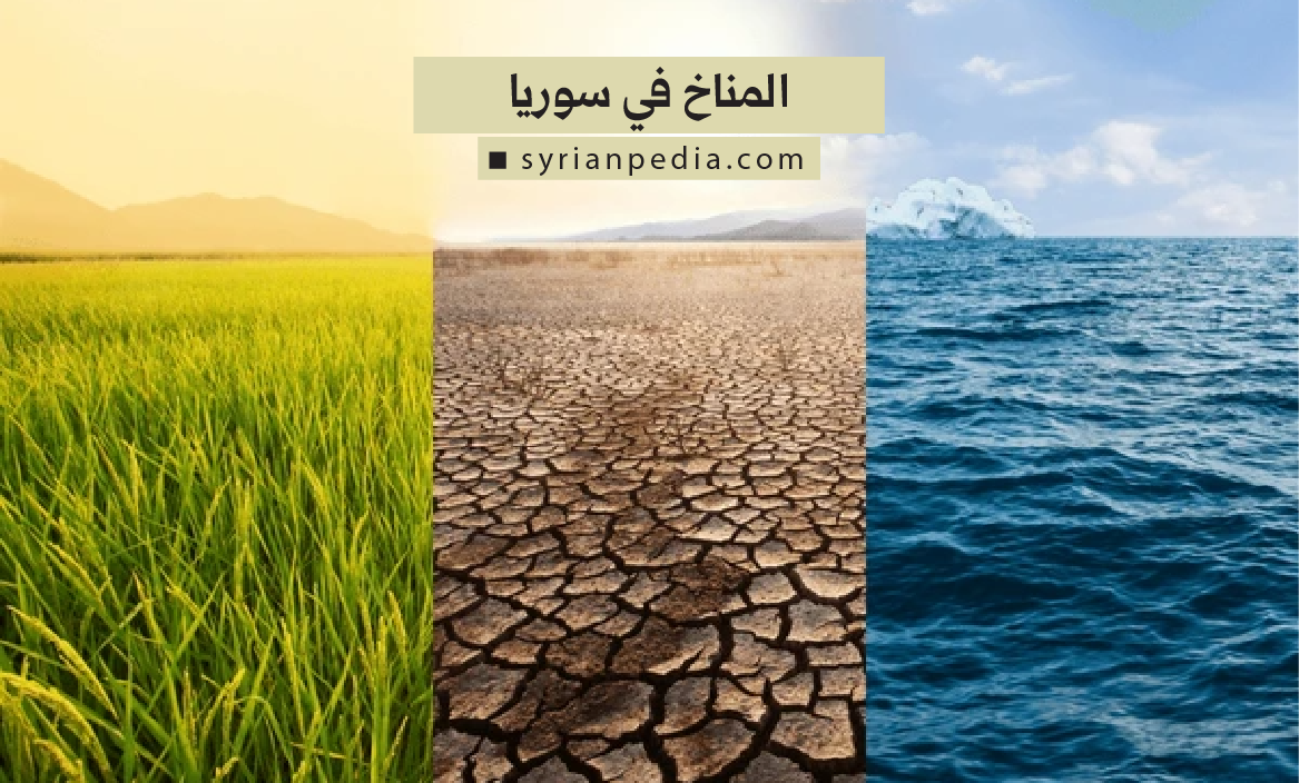 المناخ في سوريا