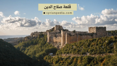 قلعة صلاح الدين