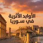 الأوابد الأثرية في سوريا صورة بانورامية تجمع تدمر وقلعة حلب