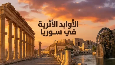 الأوابد الأثرية في سوريا صورة بانورامية تجمع تدمر وقلعة حلب