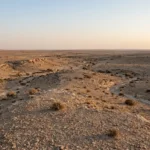 مشهد واقعي واسع لبادية الشام في سوريا يظهر الهضاب الحجرية والأودية الجافة والنباتات الصحراوية المتناثرة