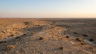 مشهد واقعي واسع لبادية الشام في سوريا يظهر الهضاب الحجرية والأودية الجافة والنباتات الصحراوية المتناثرة