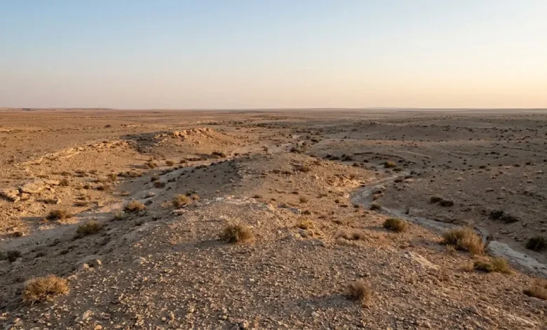 مشهد واقعي واسع لبادية الشام في سوريا يظهر الهضاب الحجرية والأودية الجافة والنباتات الصحراوية المتناثرة