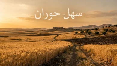 سهل حوران – حقول القمح الذهبية فوق التربة البازلتية السوداء في جنوب سوريا مع آثار بصرى الشام في الأفق